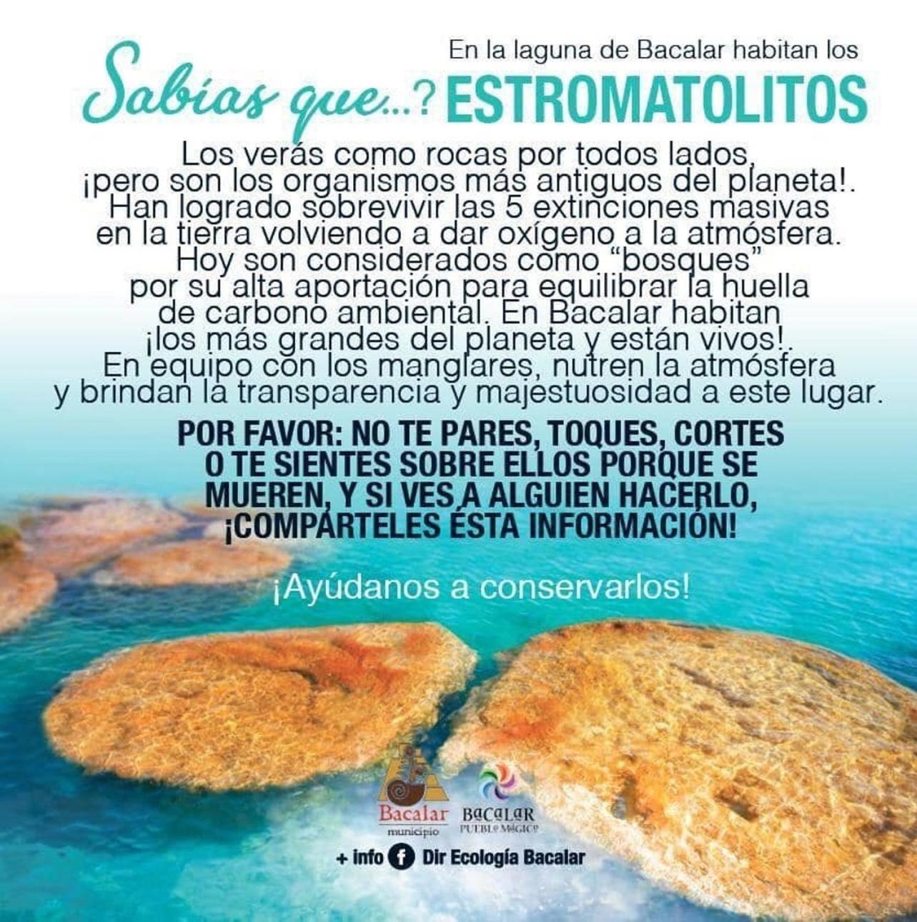 Casa Villa Real- Lagoon Acces And Stunning Views! Bacalar Buitenkant foto